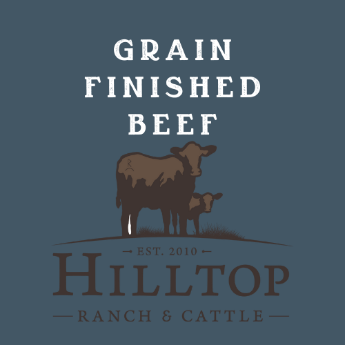 Grain Finished Beef Hilltop Ranch & Cattle