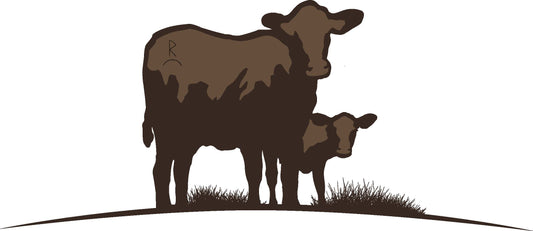Best dry-aged pasture raised beef shares