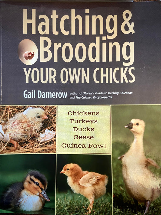 The Hatching & Brooding Your Own Chicks